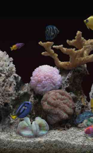 Marine Aquarium 3.3 2