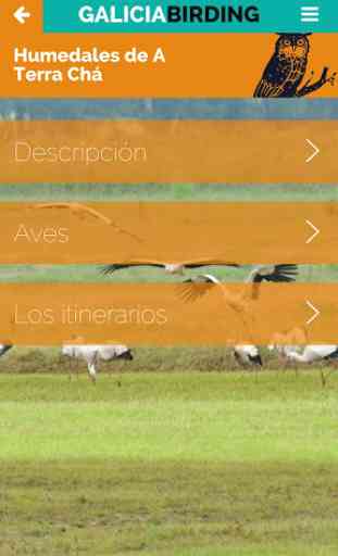 Galicia Birding 3