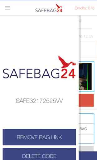 Safe Bag 24 4