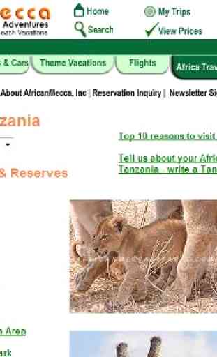 Tanzania Travel Safari Guide 2