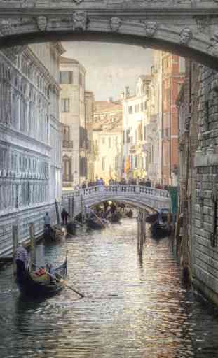 Venise Fond Animé 2