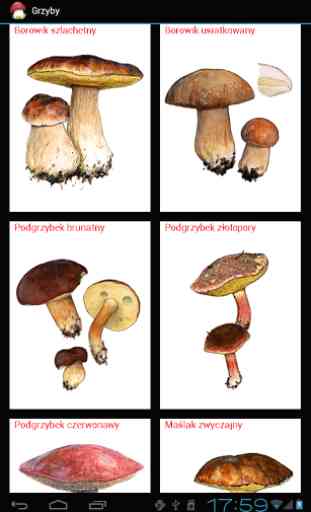 Edible Fungi 4
