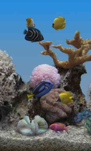 Marine Aquarium 3.3 PRO 1