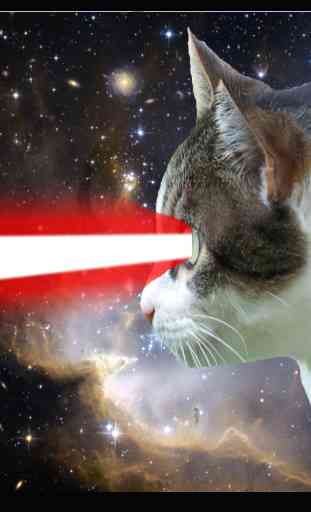 laser de chat 1