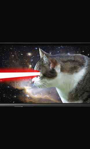 laser de chat 3