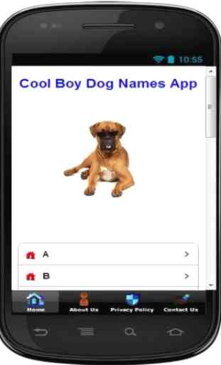 SUPERB BOY DOG NAMES 2