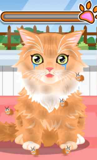 Cat Salon de soins:Princesse Jeux Gratuits 1