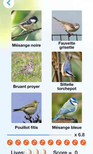 Cui-cui! Chants d'oiseaux d'Europe + 4