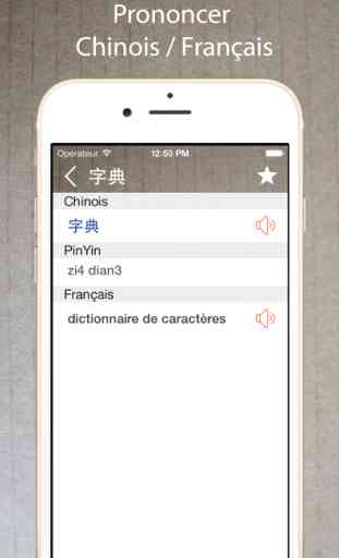 Dictionnaire Chinois Français / Traducteur Gratuit 2