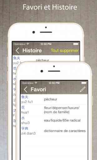 Dictionnaire Chinois Français / Traducteur Gratuit 3