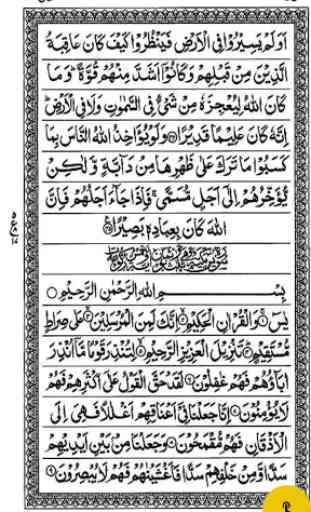 Hafizi Quran 15 lines 1