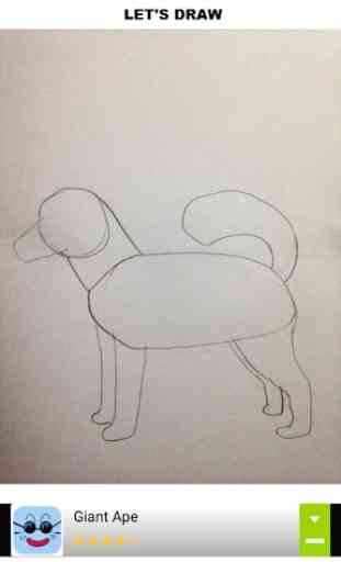 How to Draw Dogs 2