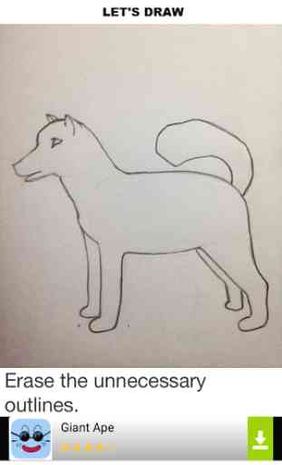How to Draw Dogs 3