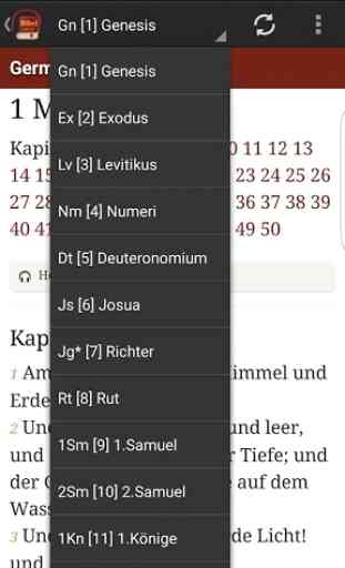 German Bible 4
