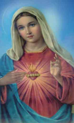 Vierge Marie fond d’écran 2