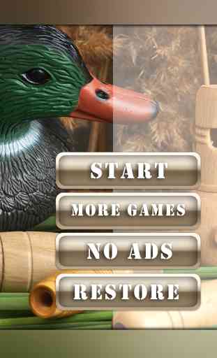 Prise de vue en 3D Duck Hunting pistolet Juggle jeu gratuitement 2
