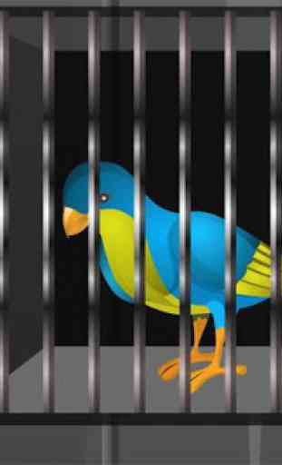 Escape Game: Caged Bird 2