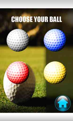 3D Mini Golf Flick Juggle Souffle - Immobilier Fun Fairway Jeu 3