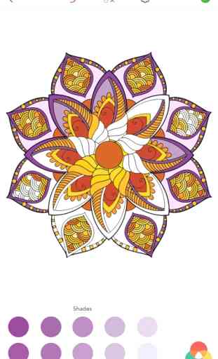 Coloriage Mandala Magique pour Adulte 4