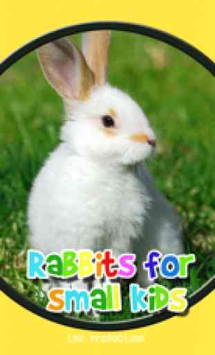 des lapins pour les petits enfants - jeu gratuit 1