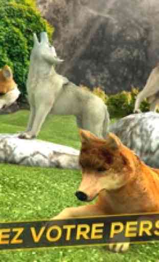 Joue Avec les Loups . Simulateur d Animal Virtuel 3