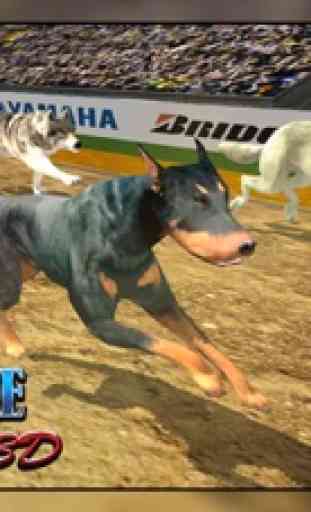 Chien course galgo 3D chien jeu de course - animal 1