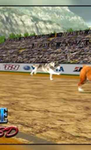 Chien course galgo 3D chien jeu de course - animal 4