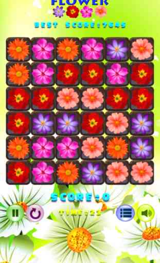 Fleur Beau Puzzle Rencontre 3 Jeux 1