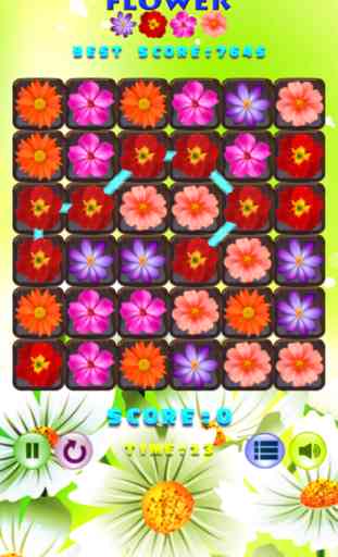 Fleur Beau Puzzle Rencontre 3 Jeux 2