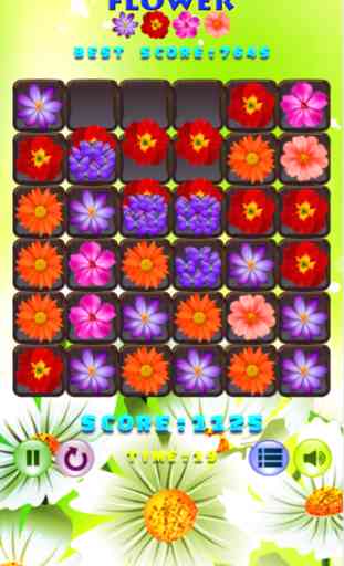 Fleur Beau Puzzle Rencontre 3 Jeux 3