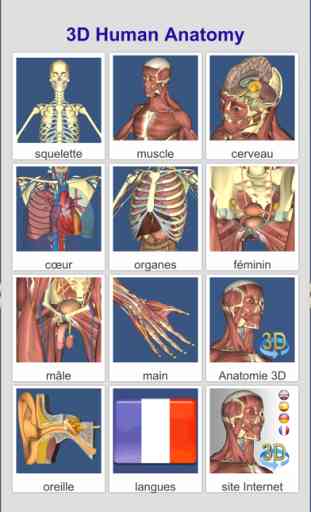 3D Anatomy Learning 2