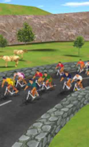 Cycling 2011 4