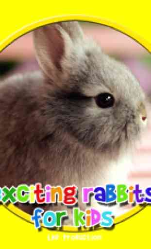 lapins excitants pour les enfants - jeu gratuit 1