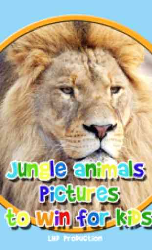 photos d'animaux de la jungle à gagner - jeu gratuit 1