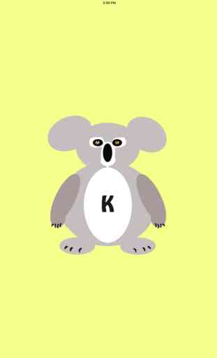 Cool Koala 3