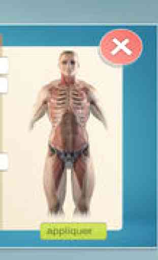 Easy Anatomy 3D 3