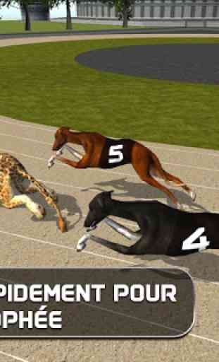 Fou Dog Racing 4