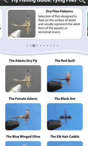 Guide de pêche à la mouche 3