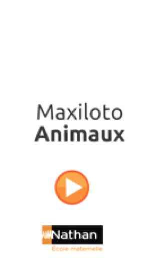 Maxiloto Animaux 1