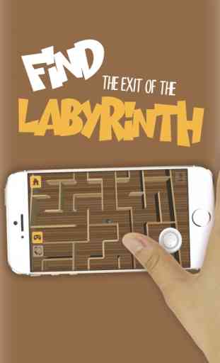 labyrinthe classique - 3D 3
