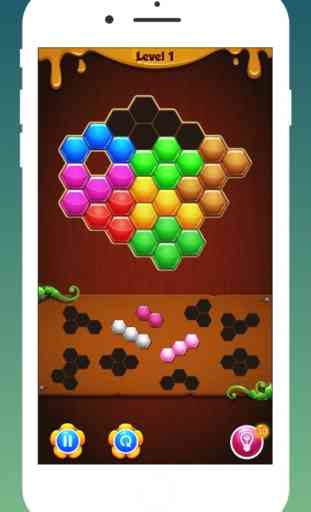 Hex Puzzle - hexagone de bois 3