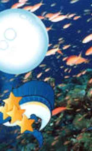 Jeu de mémoire des poissons pour les bambins et les enfants: explorer l'océan ! - Jeux pour enfants - app pour bébés - jeux de mémoire - jeux mémoire 2