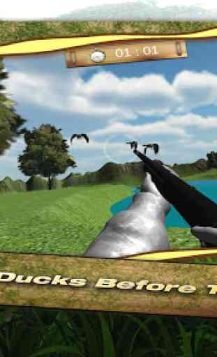de canard de chasse 3D 4