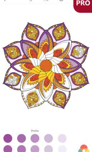 Coloriage Mandala Magique PRO: Dessins à Colorier 4