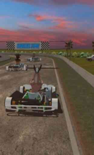 Simulateur karting animal fou 1