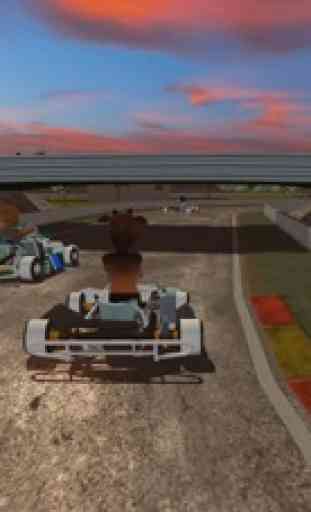 Simulateur karting animal fou 4