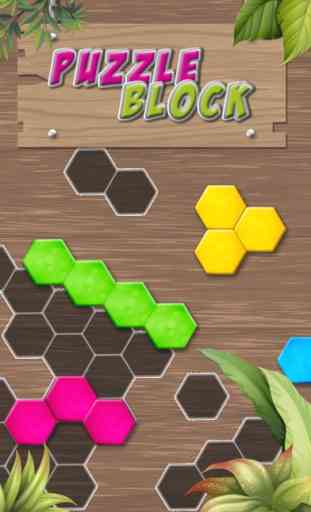 Puzzle résolution - block jeu 1