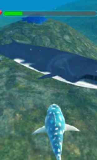 Requin Attaque Évolution 3D 4