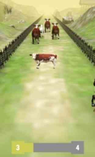 Cow-boy Rodeo Cavalier 4