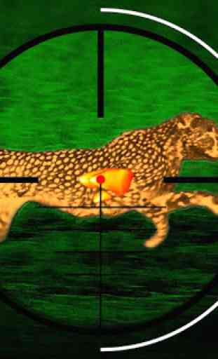Cheetah Hunter 2016 - chasseur 1